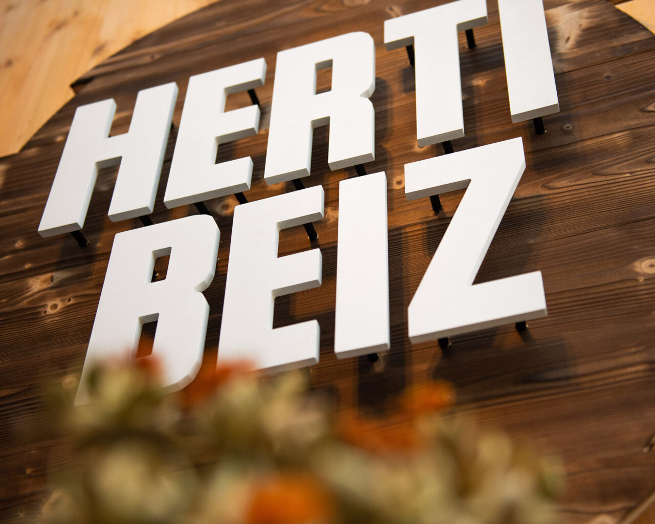 EVZ Herti Beiz Logo in Holz