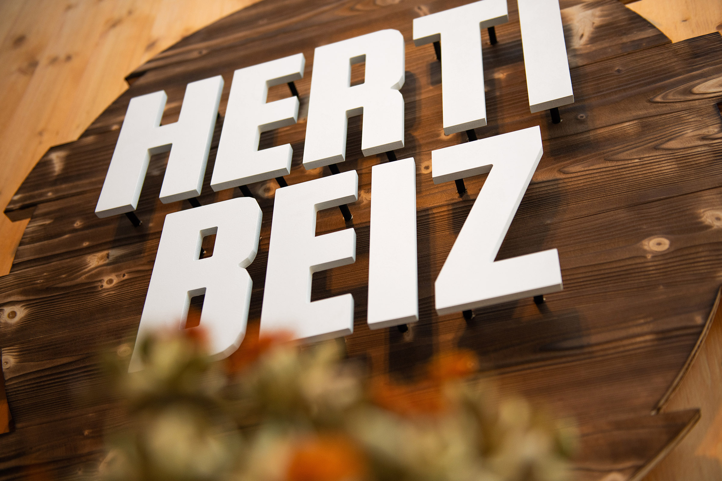 EVZ Herti Beiz Logo in Holz